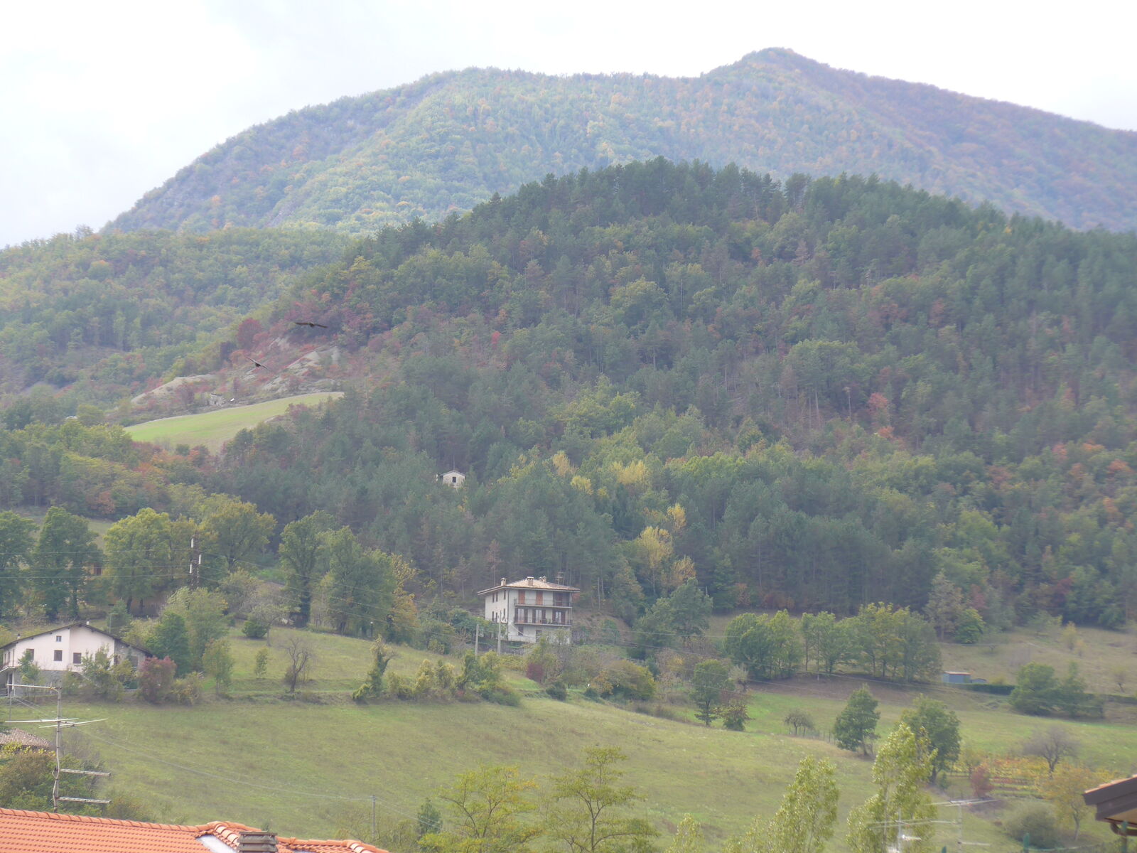 P1480969