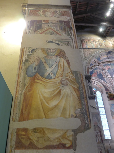 P1750769