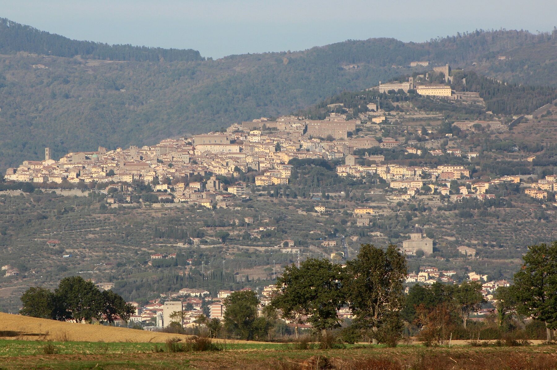 コルトーナ再び その1 旧サンタゴスティーノ修道院 イタリア芸術を楽しむ