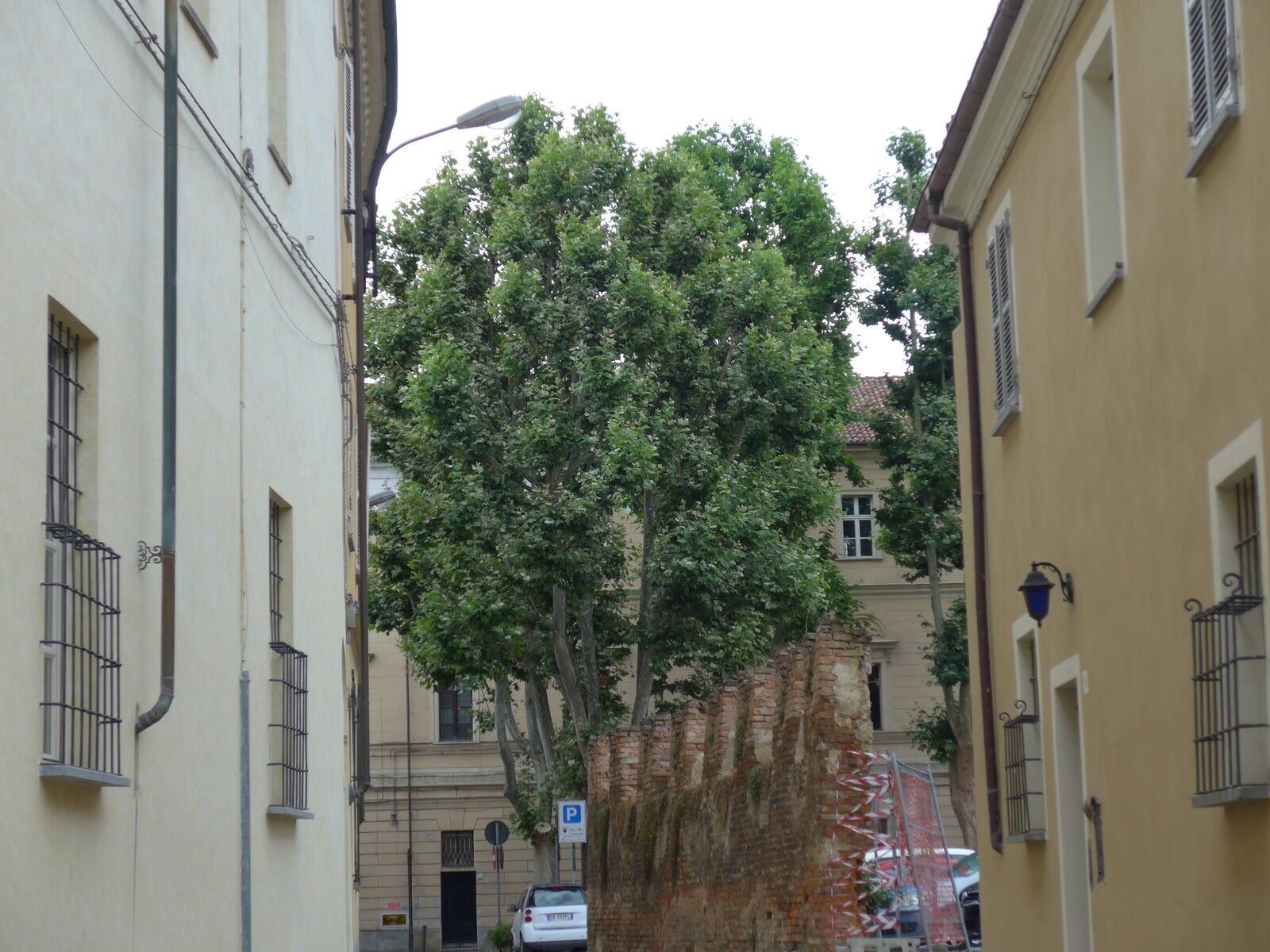 P1290629