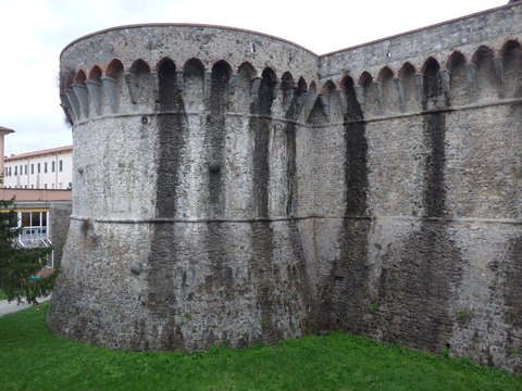 P1860539
