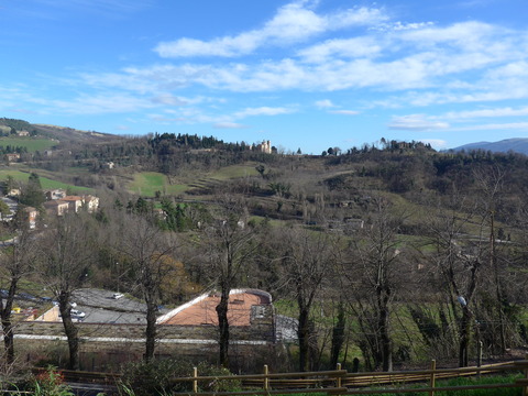 P1130377