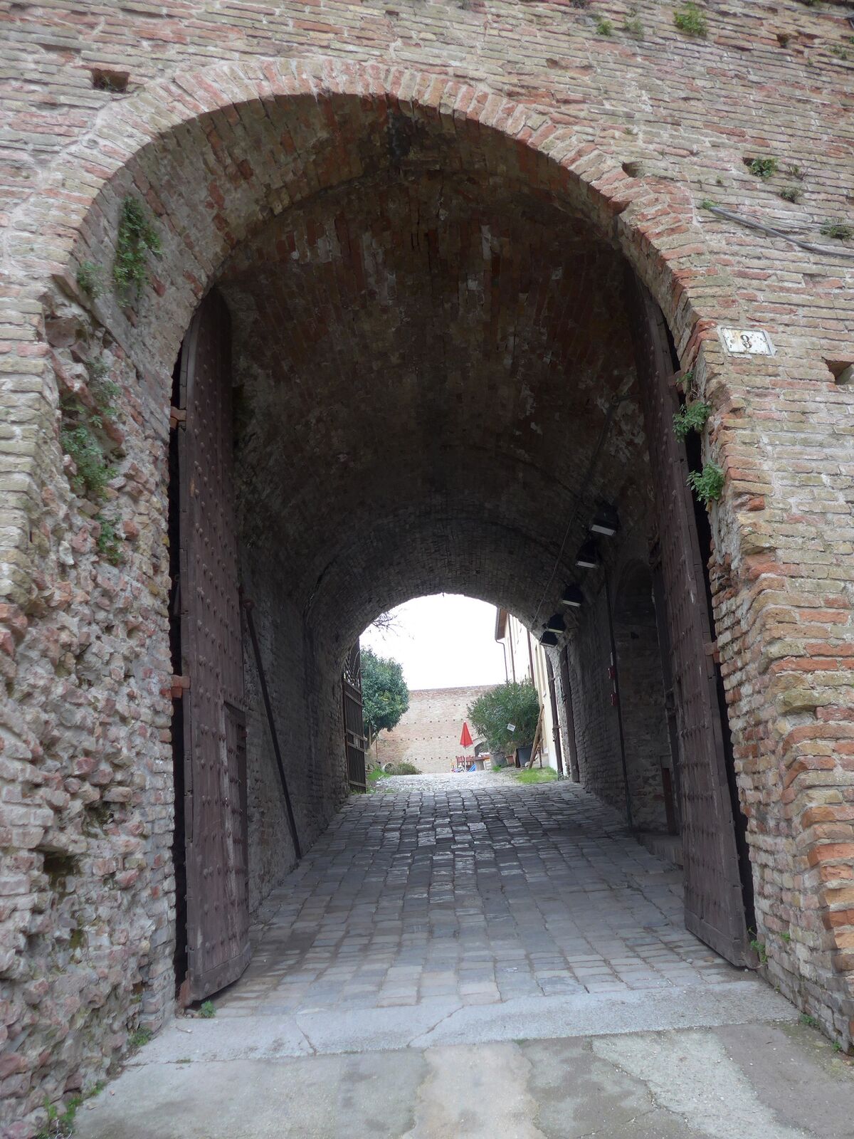 P1130986