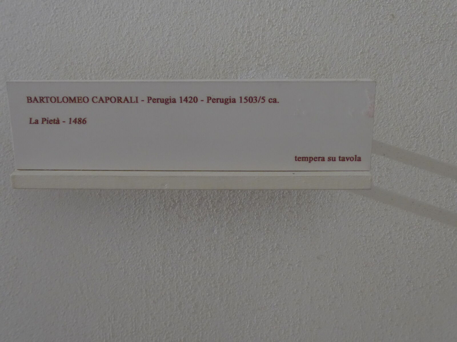 P2330165