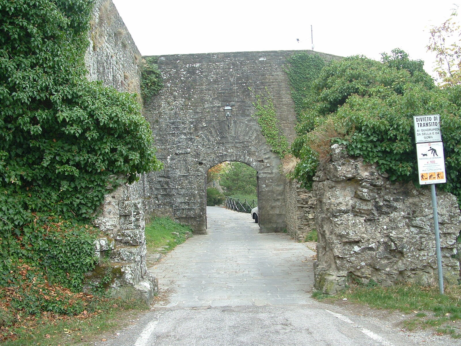 p1046