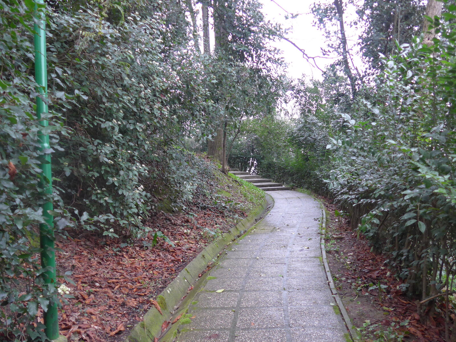 P1130977