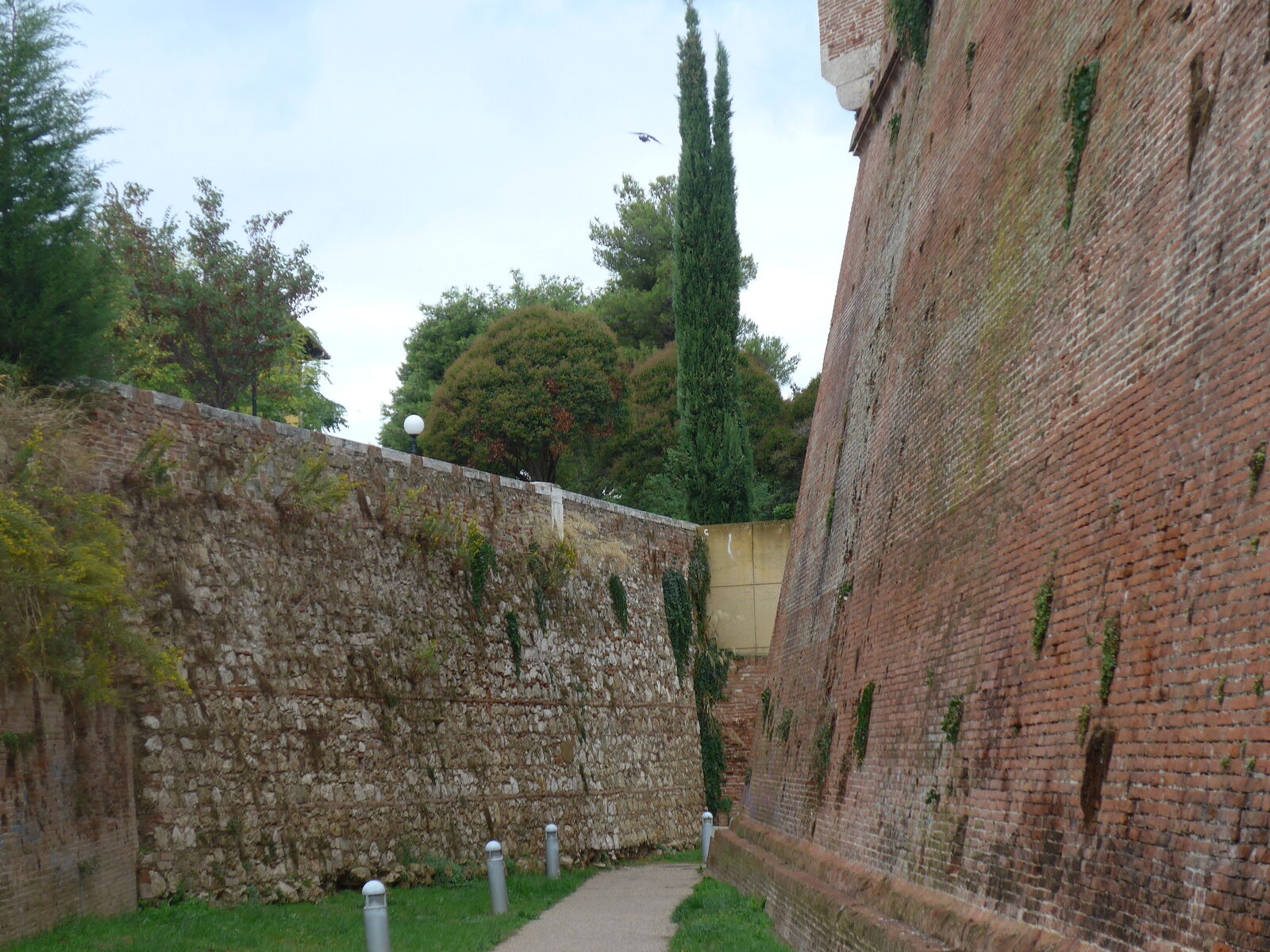 P1050549