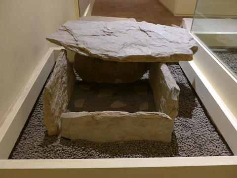 P1830950