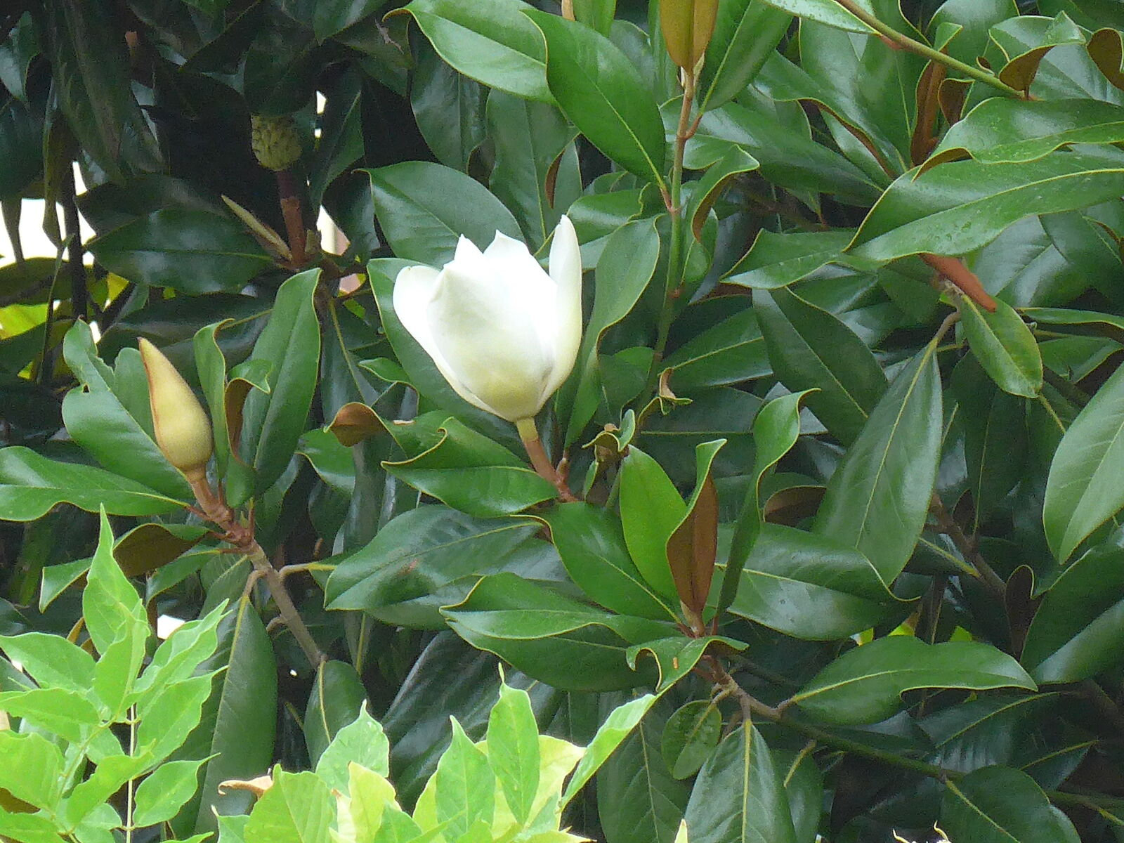 P1280298