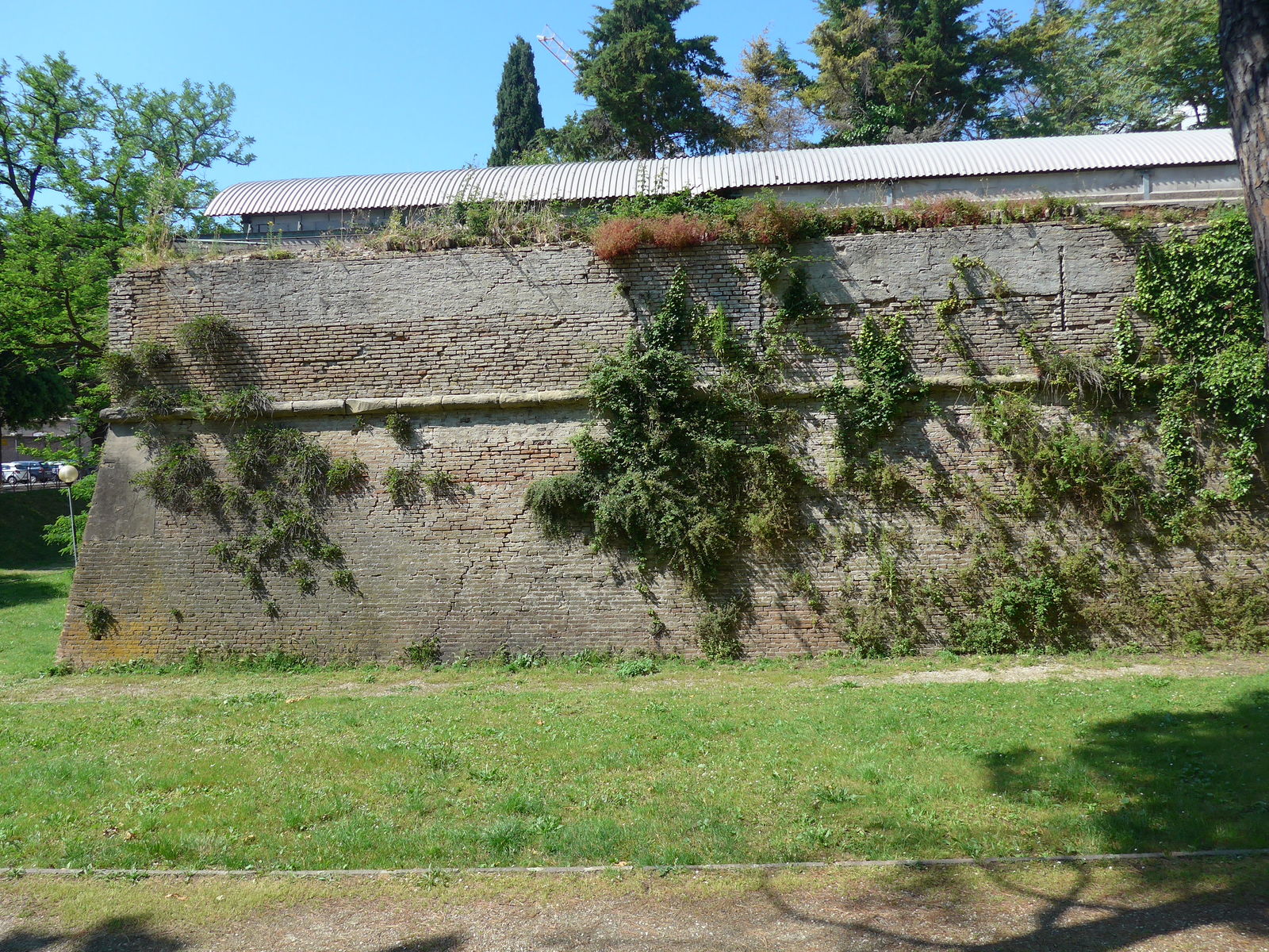 P2070442