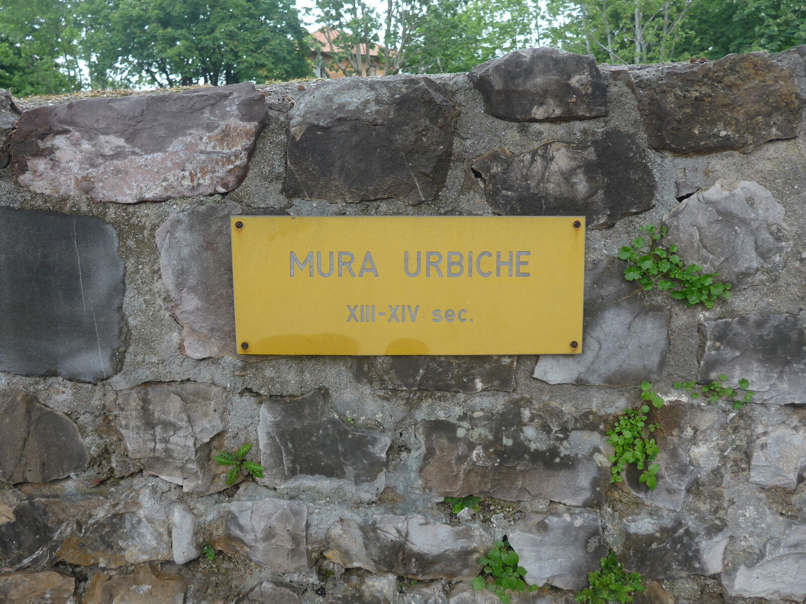 P2100065