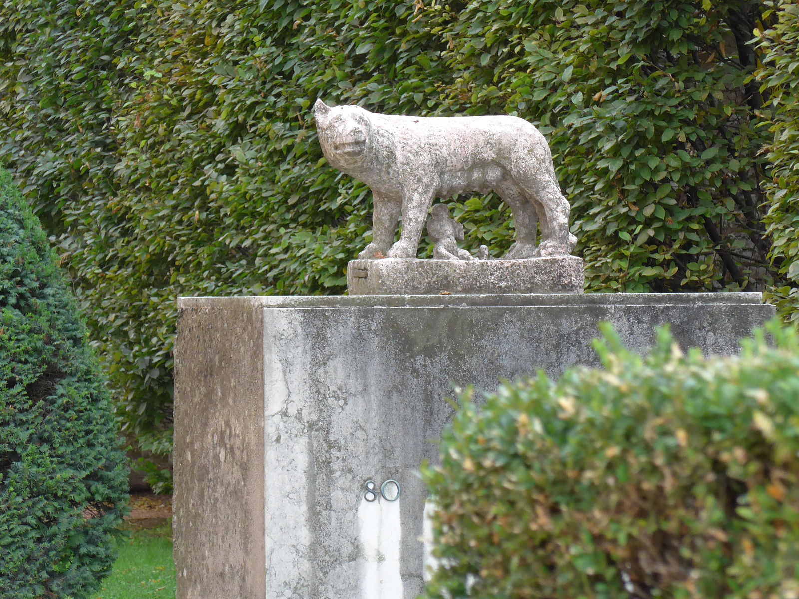P1000771