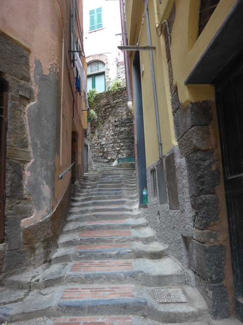 P1870088