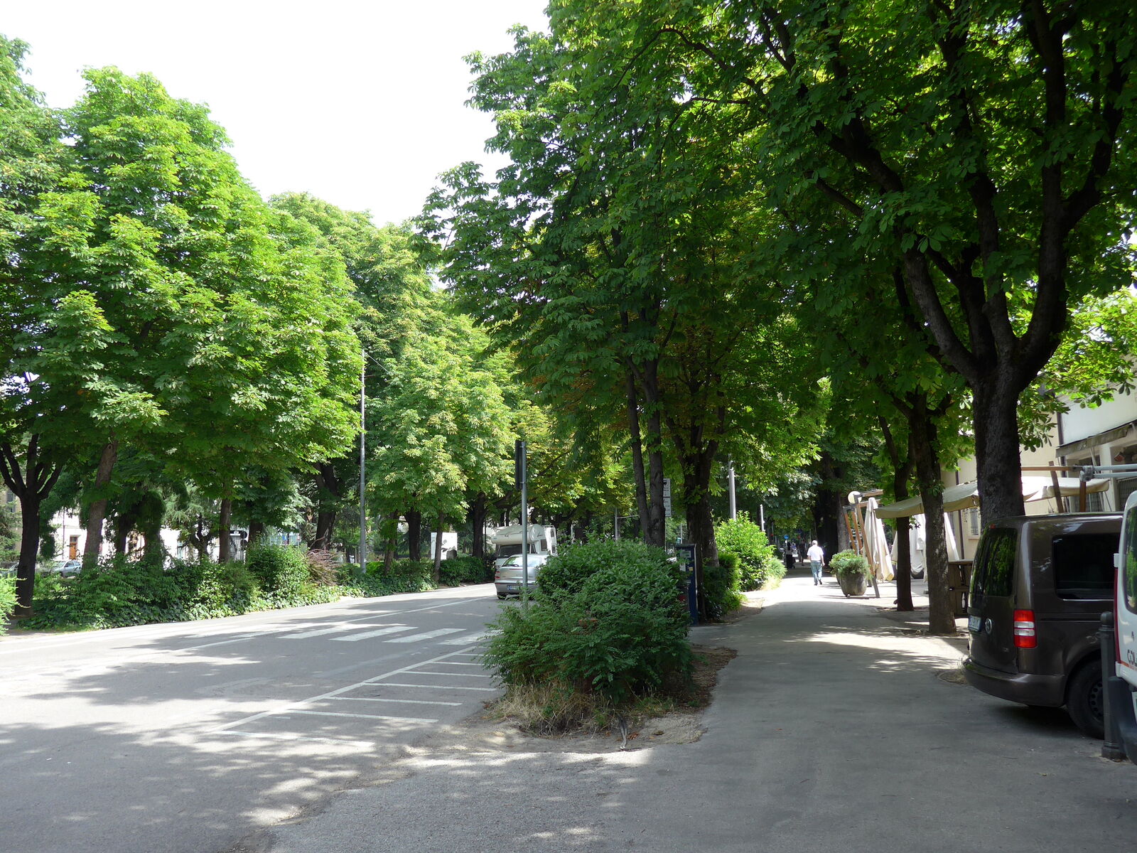 P1230190