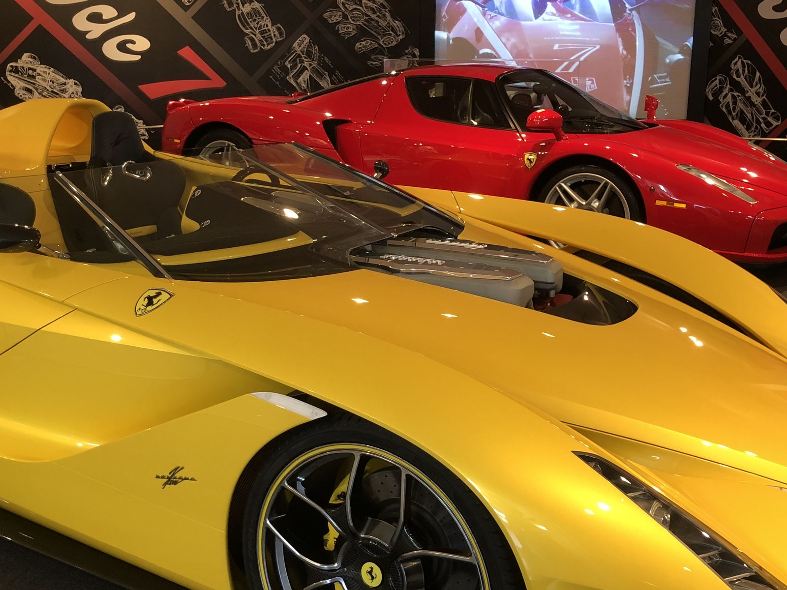 大学がお気に入りの犬と一緒に教授の骸骨を展示