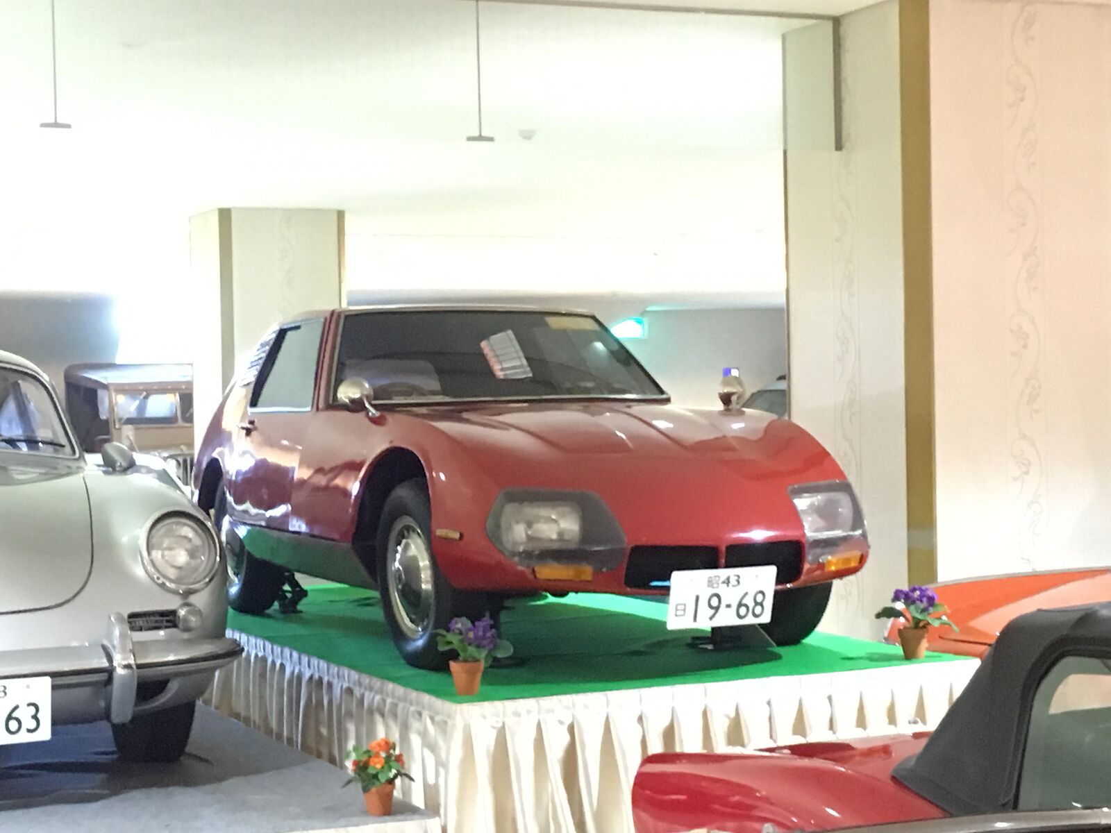 忠実なペット:ゾウガメと並んで歩く日本人男性