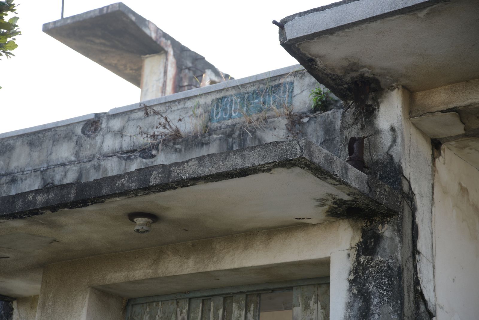 午後の部で活躍した37人の子役たちの活躍は?