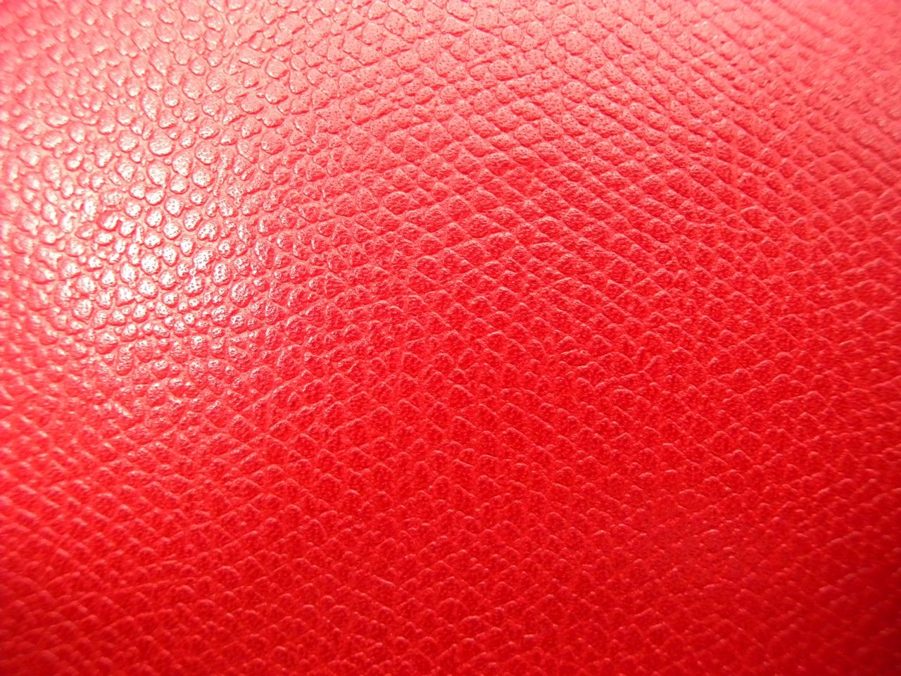 ティラノサウルスのセックス: 恐竜のセックスはどんな感じでしたか?