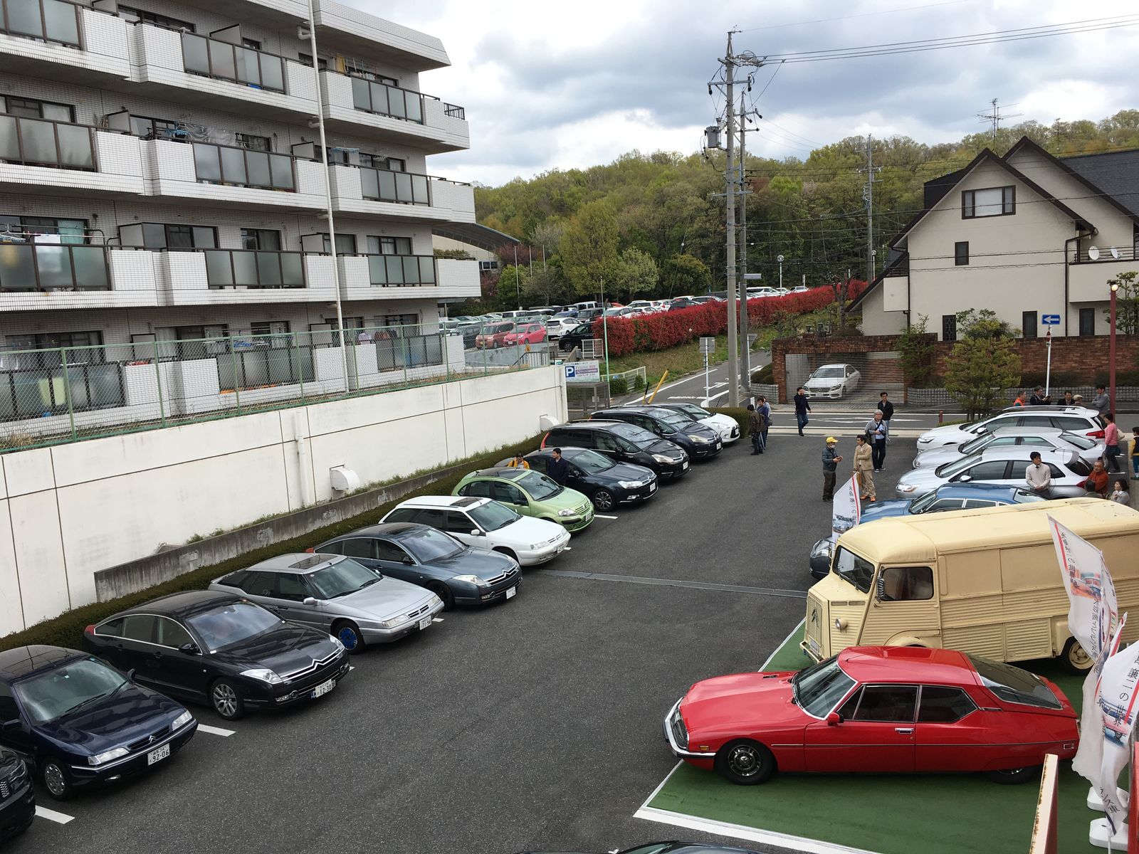 金属製のバケツを壊すのが大好きな身長 7 フィートのカンガルー、ロジャーを紹介します。