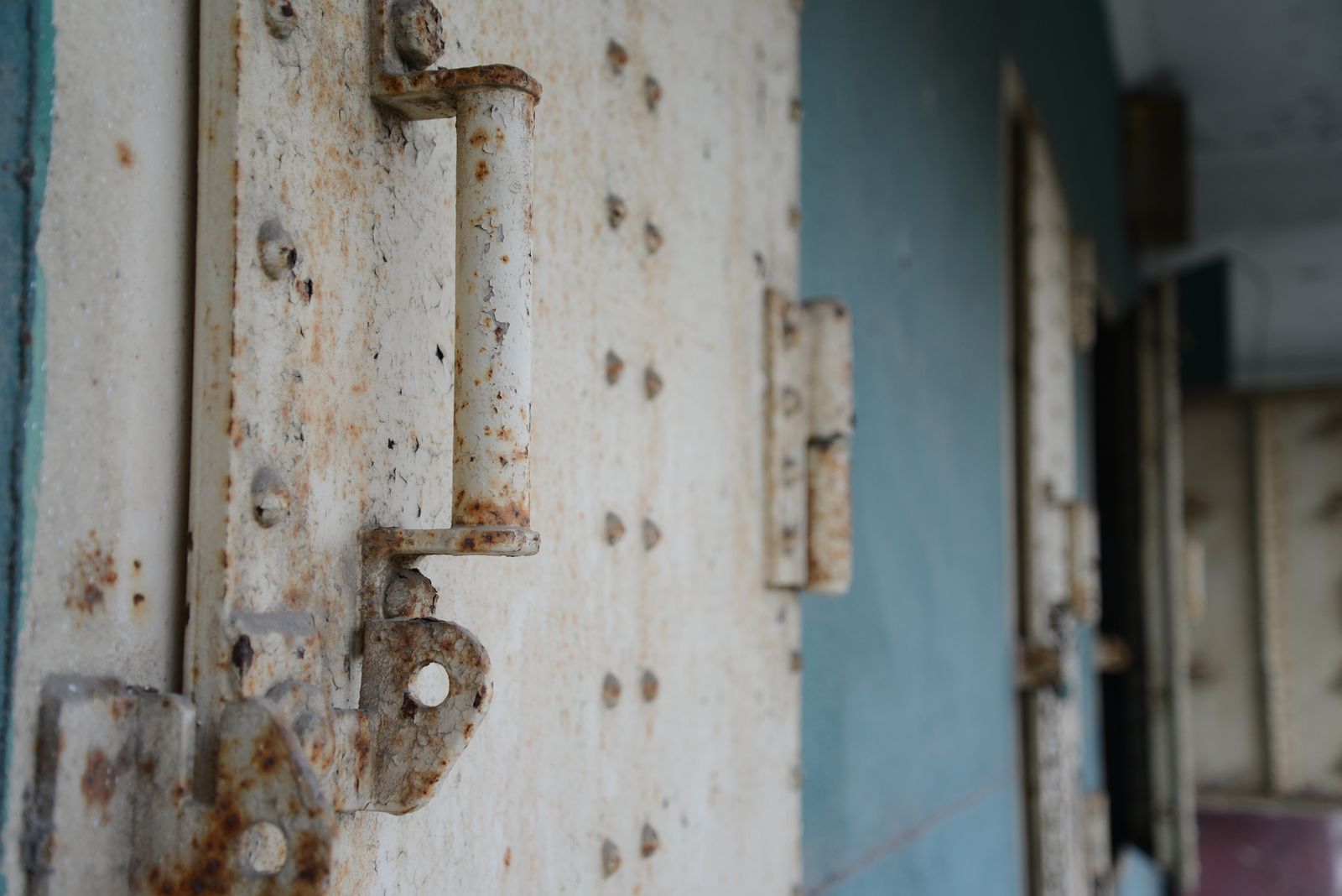 午後の部で活躍した37人の子役たちの活躍は?