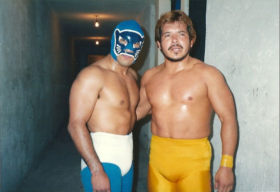 AAA ルチャドールルチャリブレブルーパンサー