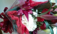 10151549_1436265293280497_903217147_n[1]