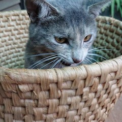 IMG_20190716_163808_668