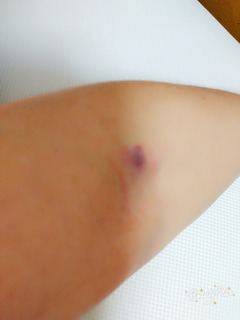 [画像:b107f002-s.jpg]