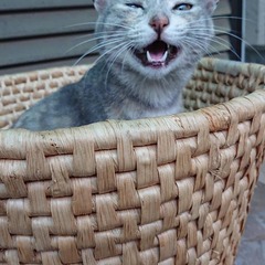 IMG_20190716_163808_657