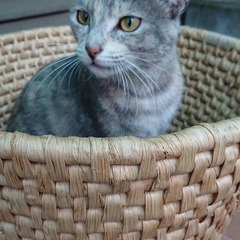 IMG_20190716_163808_653