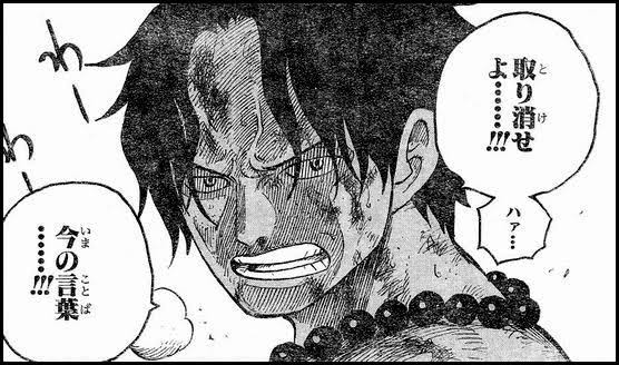 One Pieceのエースの最後って どうなってたら納得したんや ガー速 One Pieceのエースの最後って どうなってたら納得したんや ガー速