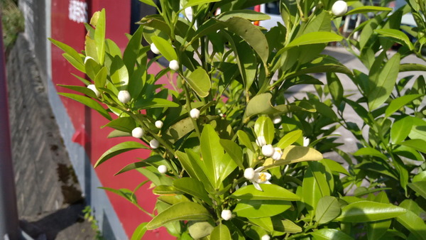 2025年05月20日、16時08分41秒