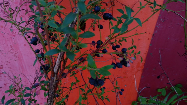 2025年08月19日、08時03分38秒