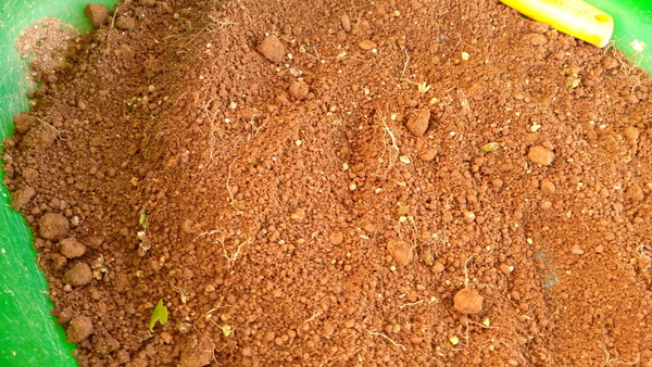 2025年11月15日、15時44分25秒