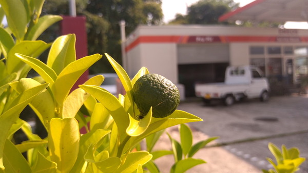 2025年08月29日、09時01分39秒