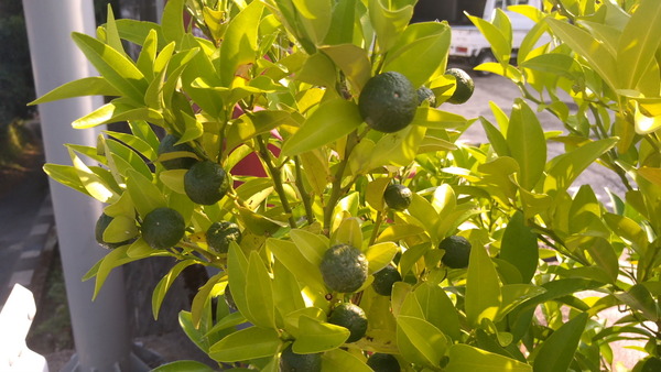 2025年08月29日、09時01分21秒