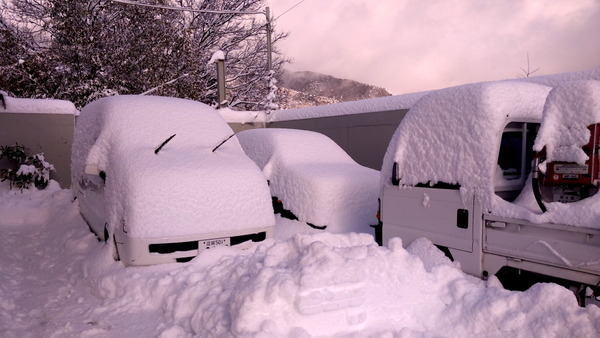 2025年02月08日、15時00分15秒