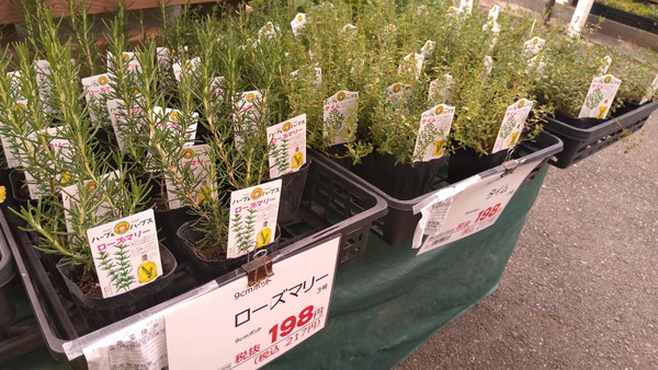 2025年06月08日、13時09分16秒