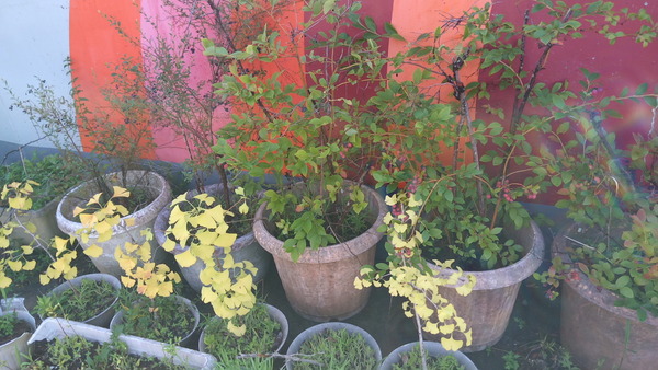 2025年08月19日、08時02分28秒