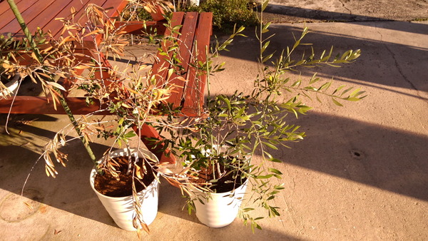 2025年10月29日、15時30分02秒