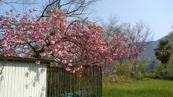 2025年04月19日、08時56分46秒