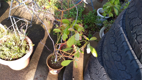 2025年08月19日、08時02分08秒