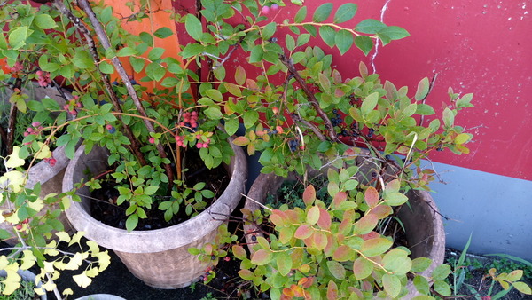 2025年08月19日、08時02分32秒