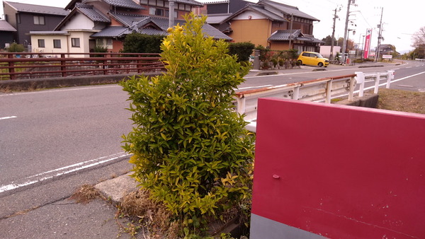 2025年12月01日、15時54分58秒