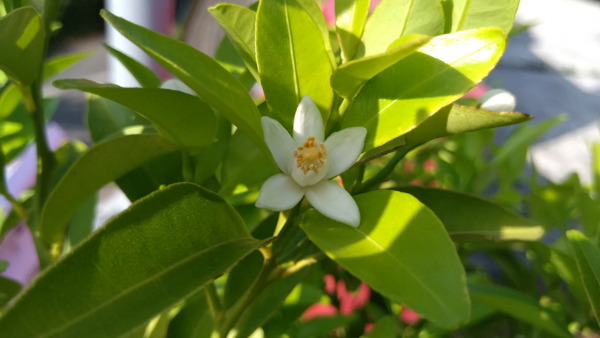 2025年05月20日、16時08分31秒