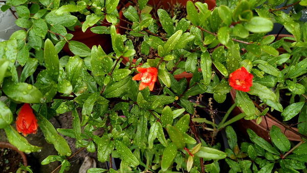 2024年06月20日、17時00分23秒