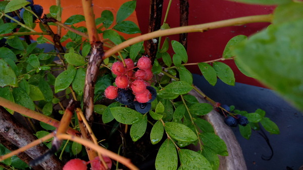 2025年08月19日、08時03分04秒