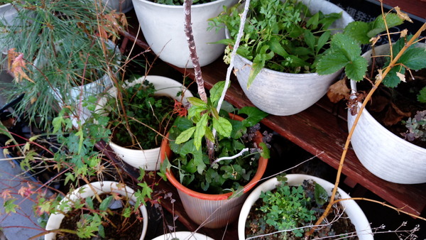 2025年08月19日、08時01分32秒