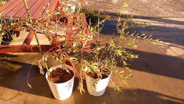 2025年10月29日、15時36分12秒