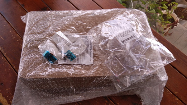 2025年06月20日、12時16分33秒